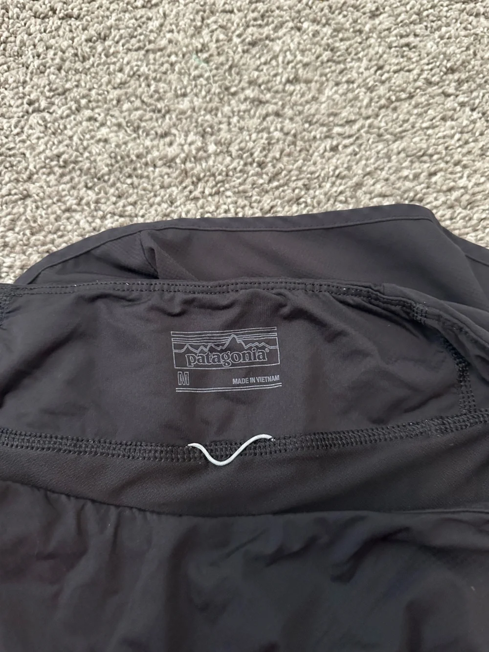 Patagonia Shorts